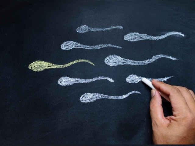 精子检测