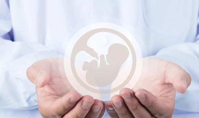 中国人保助孕宝试管保险